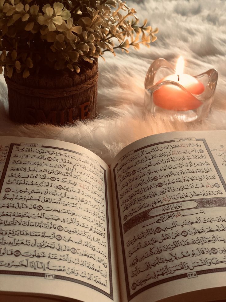 learn Quran with tajweed